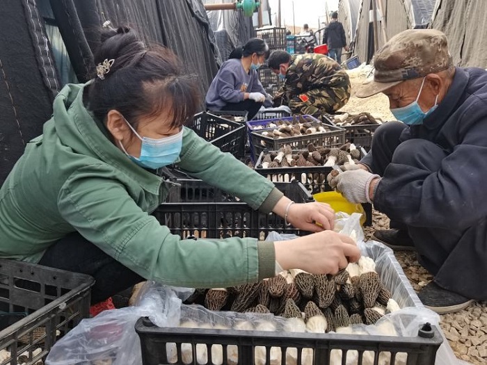 NG28南宫(中国)官方网站