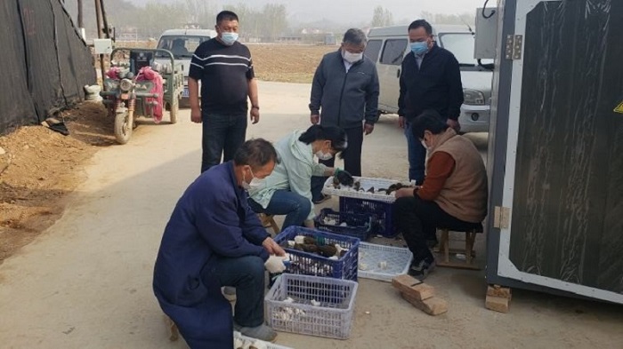NG28南宫(中国)官方网站