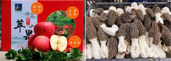 NG28南宫(中国)官方网站